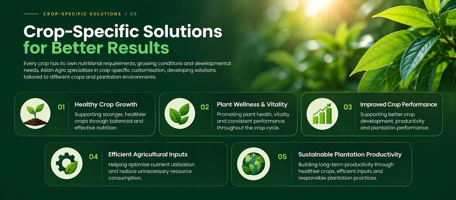 Crop-Specific Solutions for Better Results — Every crop has its own nutritional requirements, growing conditions and developmental needs. Asian Agro specialises in crop-specific customisation, developing solutions tailored to different crops and plantation environments.